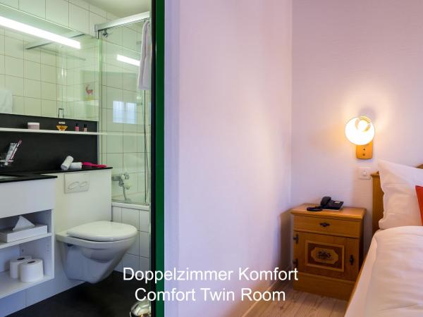 Hotel Hirschen - Grindelwald : photo 4 de la chambre chambre double avec balcon et vue sur la montagne