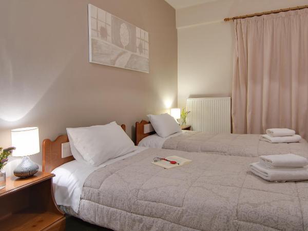 Tsironis Guesthouse : photo 2 de la chambre studio (2 adultes)