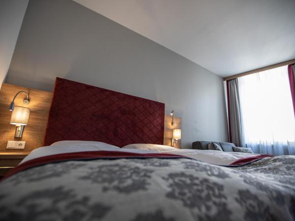Hotel Elefant Family Business : photo 4 de la chambre chambre double premium
