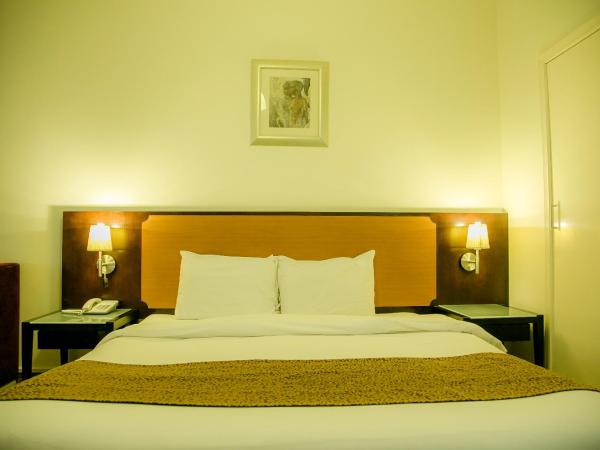 Phoenicia Grand Hotel : photo 3 de la chambre chambre double ou lits jumeaux standard