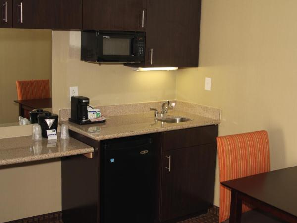 Holiday Inn Express Hotel & Suites Indianapolis W - Airport Area, an IHG Hotel : photo 1 de la chambre suite lit king-size exécutive avec canapé-lit