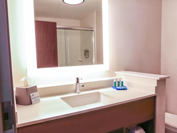 Holiday Inn Express & Suites - Houston IAH - Beltway 8, an IHG Hotel : photo 1 de la chambre chambre lit king-size standard - non-fumeurs 