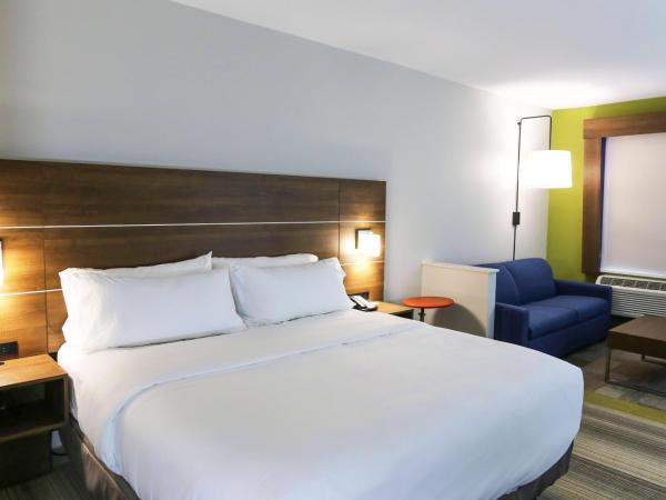 Holiday Inn Express & Suites - Houston IAH - Beltway 8, an IHG Hotel : photo 4 de la chambre suite lit king-size – non-fumeurs