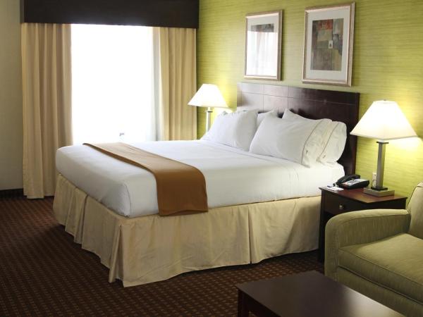 Holiday Inn Express Hotel & Suites Indianapolis W - Airport Area, an IHG Hotel : photo 1 de la chambre chambre lit king-size avec canapé-lit