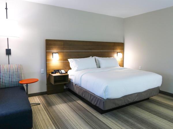 Holiday Inn Express & Suites - Houston IAH - Beltway 8, an IHG Hotel : photo 5 de la chambre chambre lit king-size standard - non-fumeurs 
