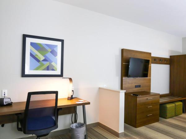 Holiday Inn Express & Suites - Houston IAH - Beltway 8, an IHG Hotel : photo 2 de la chambre suite lit king-size – non-fumeurs