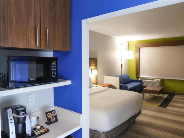 Holiday Inn Express & Suites - Houston IAH - Beltway 8, an IHG Hotel : photo 5 de la chambre suite lit king-size – non-fumeurs