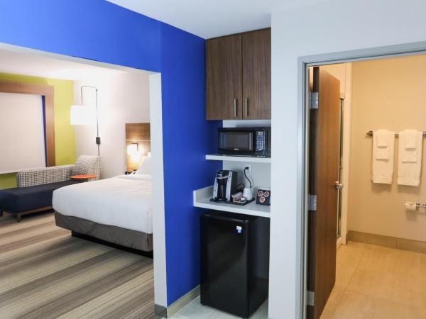 Holiday Inn Express & Suites - Houston IAH - Beltway 8, an IHG Hotel : photo 2 de la chambre chambre lit king-size standard - non-fumeurs 