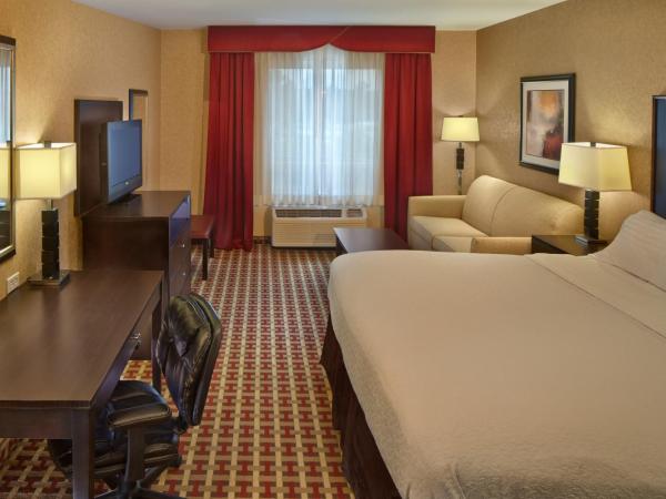 Holiday Inn Jacksonville E 295 Baymeadows, an IHG Hotel : photo 3 de la chambre chambre lit king-size standard