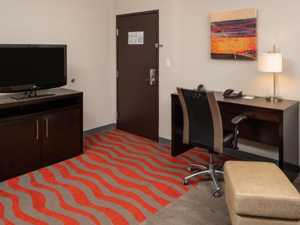 Holiday Inn Houston West - Westway Park, an IHG Hotel : photo 2 de la chambre suite 1 chambre lit king-size