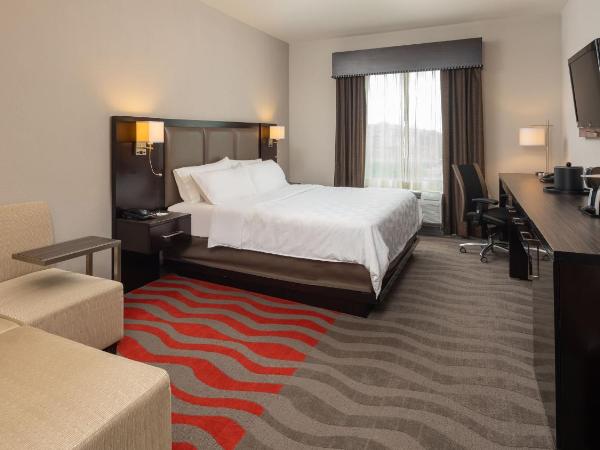 Holiday Inn Houston West - Westway Park, an IHG Hotel : photo 1 de la chambre chambre lit king-size standard