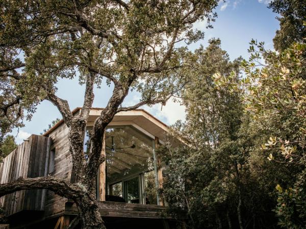 Domaine de Casanghjulina : photo 1 de la chambre suite deluxe avec lit king-size