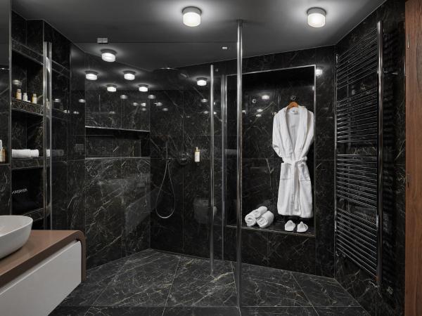 Hotel Passage : photo 5 de la chambre suite présidentielle