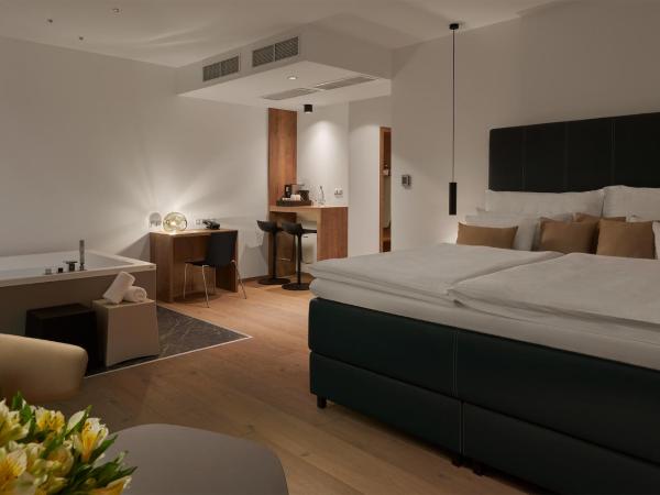 Hotel Passage : photo 5 de la chambre suite avec jacuzzi