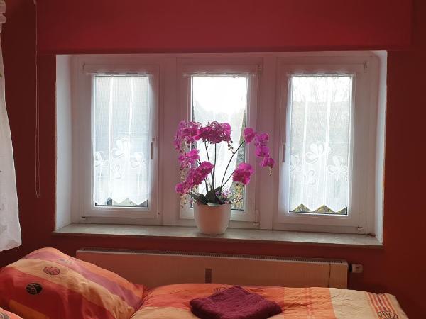 Gasthaus Pavillon : photo 5 de la chambre chambre double standard avec salle de bains commune