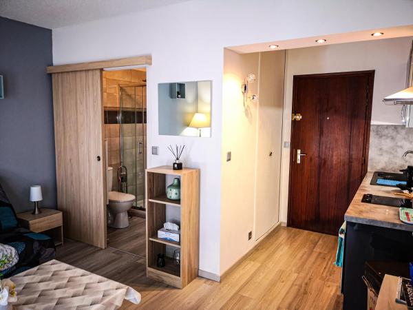 Léman Holidays - Appartement Hyper centre : photo 9 de la chambre studio