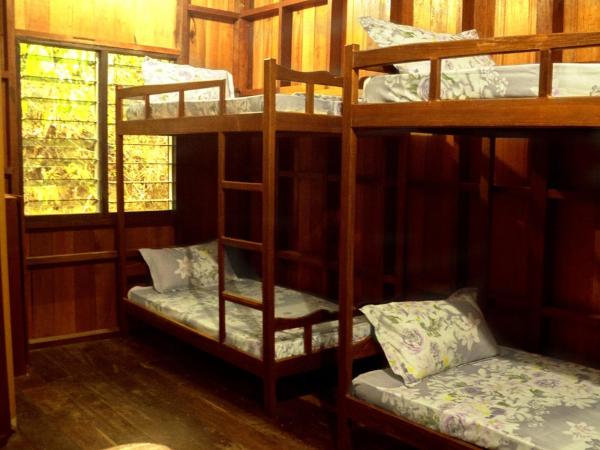 Kinabatangan Wildlife Lodge : photo 1 de la chambre lit dans dortoir pour femmes de 4 lits