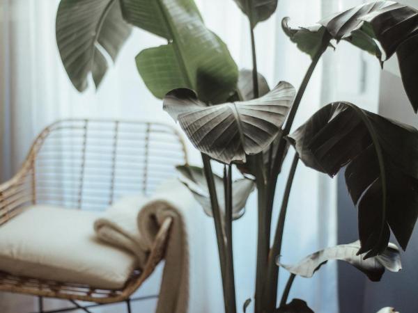 Cà Bèla - Porta Romana : photo 5 de la chambre chambre triple supérieure