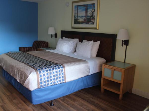 Tampa Inn Near Busch Gardens : photo 3 de la chambre chambre lit king-size deluxe - non-fumeurs 