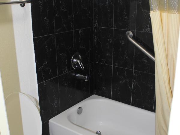 Tampa Inn Near Busch Gardens : photo 6 de la chambre chambre lit king-size deluxe - non-fumeurs 