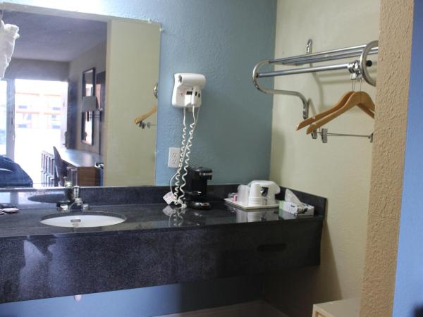 Tampa Inn Near Busch Gardens : photo 4 de la chambre chambre lit king-size deluxe - non-fumeurs 
