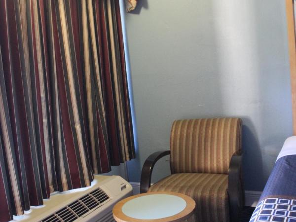 Tampa Inn Near Busch Gardens : photo 5 de la chambre hébergement de luxe 2 lits doubles - non-fumeurs