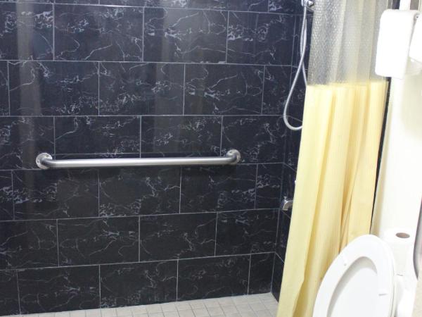 Tampa Inn Near Busch Gardens : photo 3 de la chambre chambre avec 2 lits doubles - accessible aux personnes à mobilité réduite - non-fumeurs