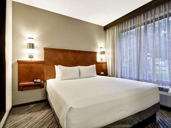 Hyatt Place Tampa Airport/Westshore : photo 3 de la chambre chambre lit king-size avec canapé-lit