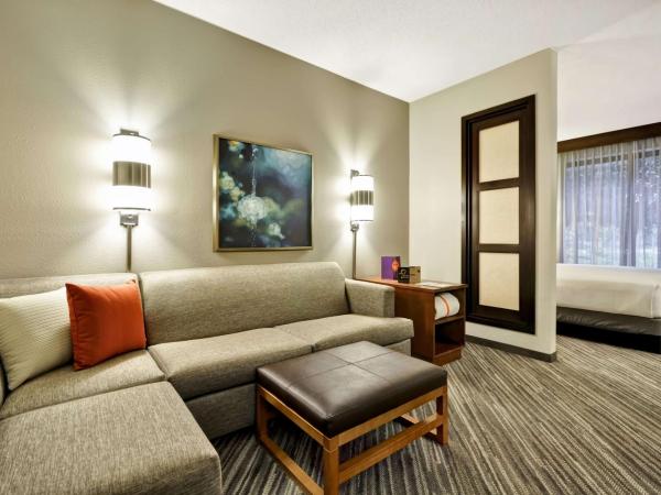 Hyatt Place Tampa Airport/Westshore : photo 1 de la chambre chambre lit king-size avec canapé-lit - Étage supérieur