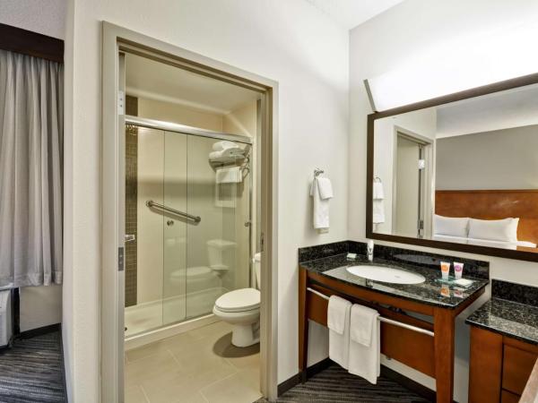 Hyatt Place Tampa Airport/Westshore : photo 5 de la chambre chambre lit king-size avec canapé-lit - Étage supérieur