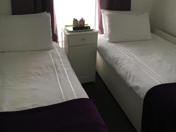 Ardern Hotel : photo 3 de la chambre appartement 2 chambres