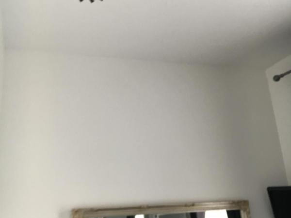 Ardern Hotel : photo 4 de la chambre chambre lits jumeaux