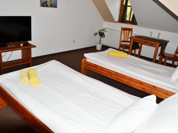 Grand Slam Park Inn : photo 7 de la chambre chambre lits jumeaux