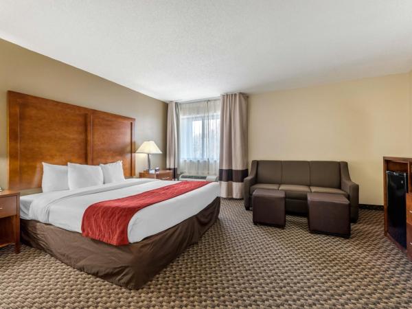 Comfort Inn South : photo 2 de la chambre chambre lit king-size