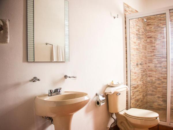 Hotel Posada De Roger : photo 9 de la chambre suite