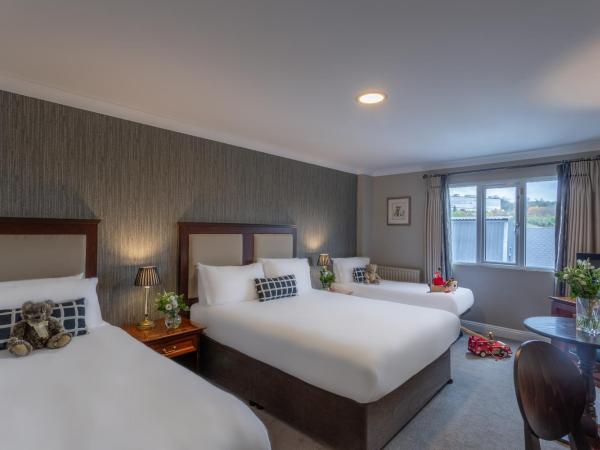 Dooley's Hotel : photo 3 de la chambre chambre familiale (2 adultes et 2 enfants)