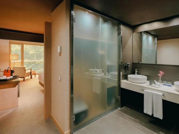 Hesperia Bilbao : photo 6 de la chambre chambre double ou lits jumeaux supérieure avec vue 