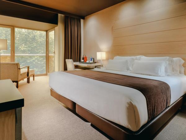 Hesperia Bilbao : photo 1 de la chambre chambre double ou lits jumeaux supérieure avec vue 