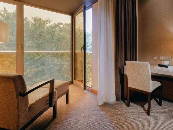 Hesperia Bilbao : photo 4 de la chambre chambre double ou lits jumeaux supérieure avec vue 