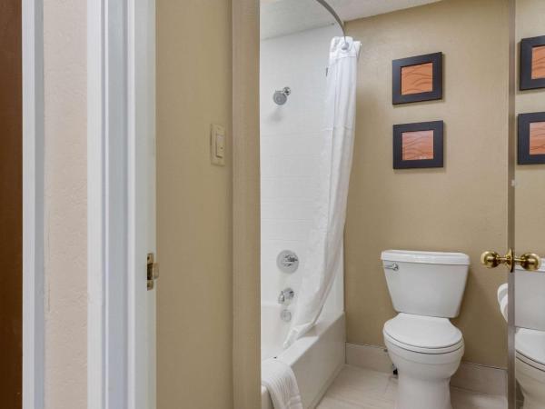 Comfort Inn South : photo 3 de la chambre chambre lit king-size