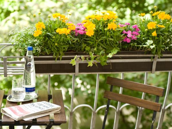 Boutique Hotel Splendid : photo 3 de la chambre chambre simple - vue sur jardin