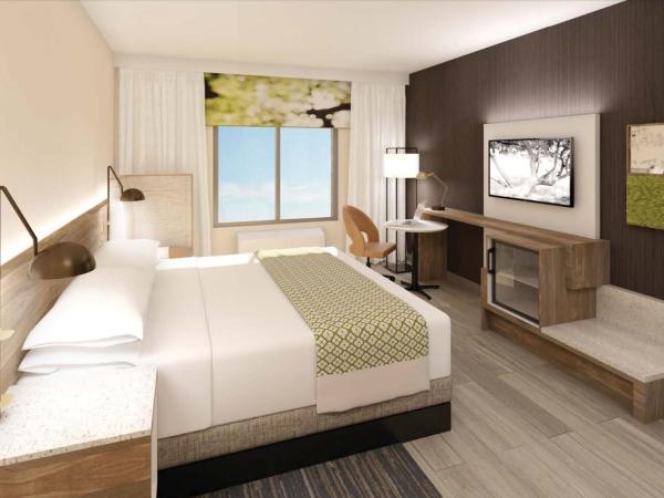 Wyndham Garden Sacramento Airport Natomas : photo 3 de la chambre chambre lit king-size - non-fumeurs