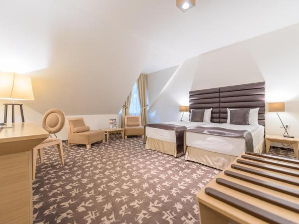 Buda Castle Hotel Budapest : photo 5 de la chambre chambre double supérieure