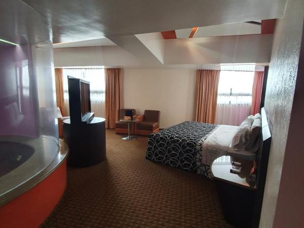 HOTEL VALLE DEL SUR : photo 3 de la chambre suite avec jacuzzi