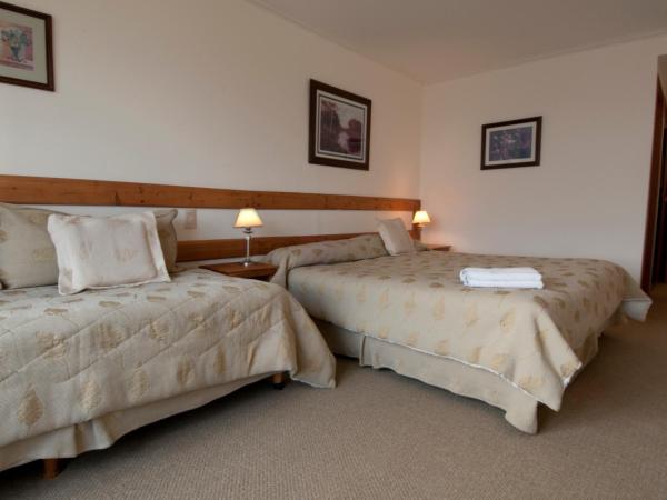 Hotel Huemul : photo 1 de la chambre chambre double ou lits jumeaux Économique