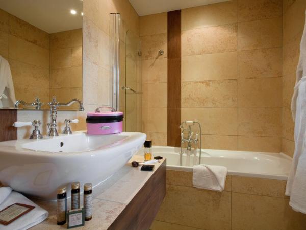 Le Manoir Saint Thomas : photo 7 de la chambre chambre confort 