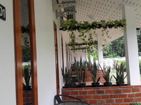 CoZy House Chiangrai : photo 1 de la chambre chambre lits jumeaux standard