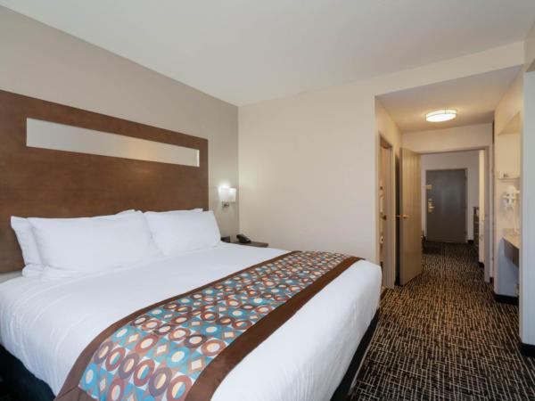 Wingate by Wyndham Memphis East : photo 1 de la chambre suite studio lit king-size - non-fumeurs