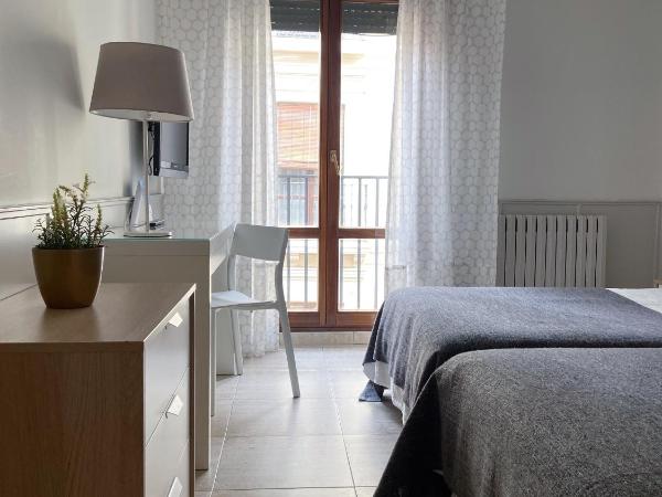 Hotel Rio Arga : photo 5 de la chambre chambre double ou lits jumeaux