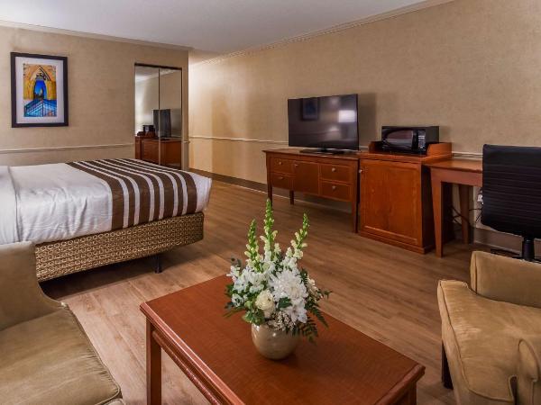 Best Western Plus Ottawa City Centre : photo 2 de la chambre chambre lit king-size